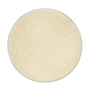 Food Additive Bovine skin gelatin Halal Gelatin Powder Food pharma Gelatin for Jelly pudding 160 180 280 bloom