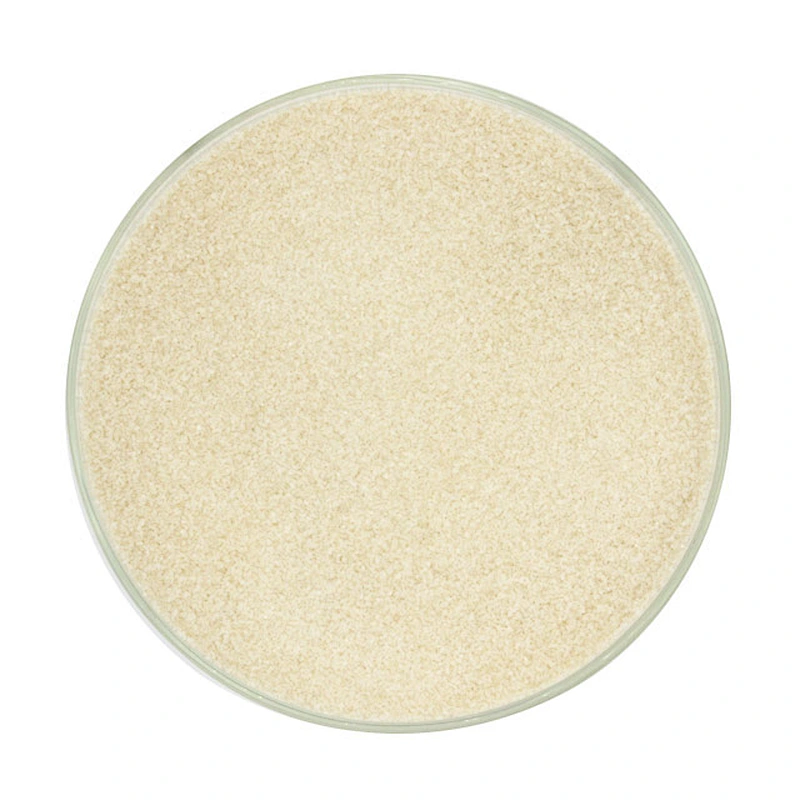 Food Additive Bovine skin gelatin Halal Gelatin Powder Food pharma Gelatin for Jelly pudding 160 180 280 bloom